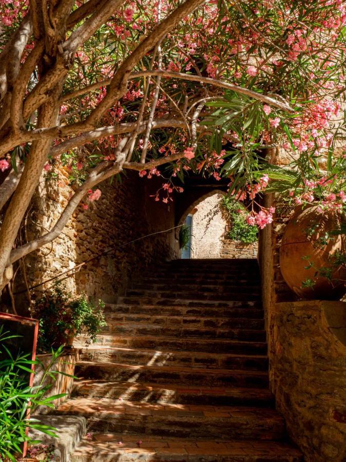 דירות Sole Mia, Appt 2/4Pers Au Coeur De Bormes מראה חיצוני תמונה